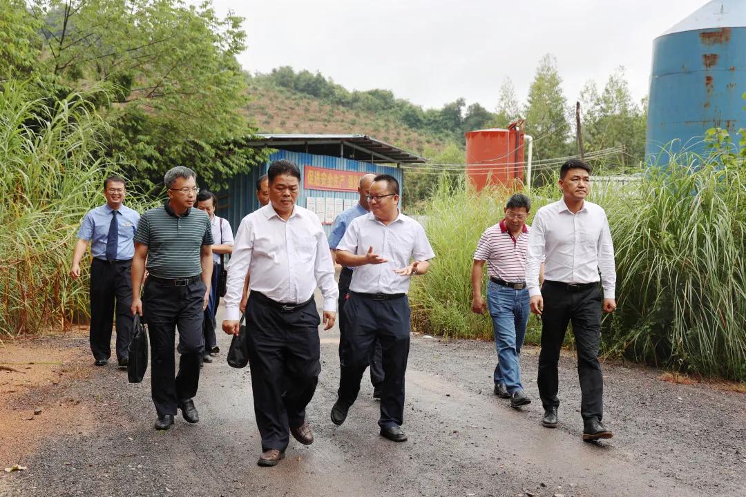 2025新澳门开码记录新澳资料,警惕虚假宣传落实,综合解答解释落实